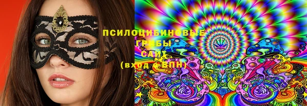 Альфа ПВП Алзамай