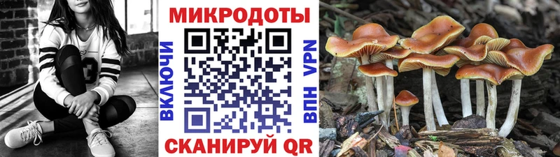 МЕГА рабочий сайт  где можно купить наркотик  Томмот  Галлюциногенные грибы GOLDEN TEACHER 